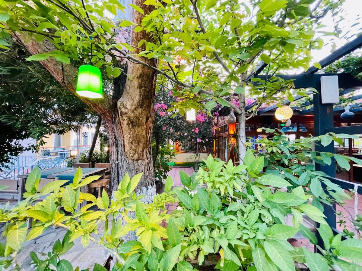 Mountain Valley オルデニズ エクステリア 写真